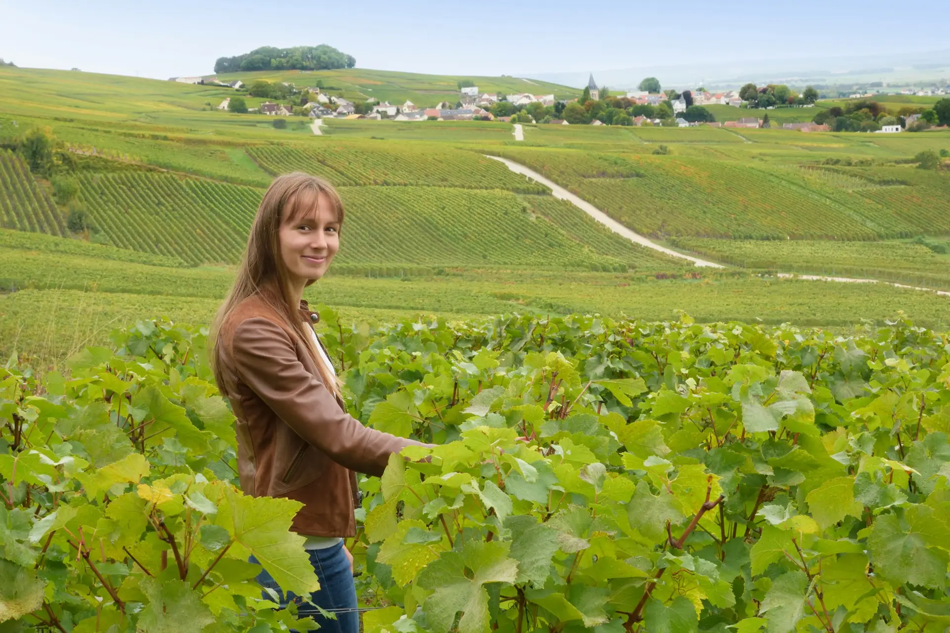 310433643_774827793553364_6854532488299348158_n